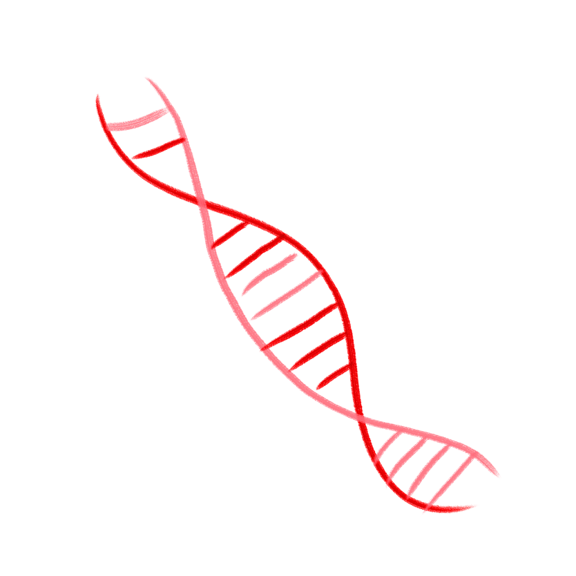 Illustration of a DNA strand