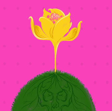 Image for 我們為何向精油說「不」!