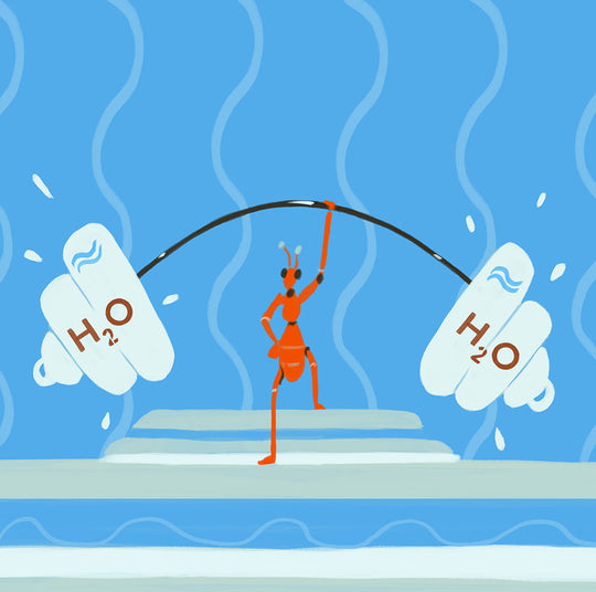 Image for 關於玻尿酸的知識